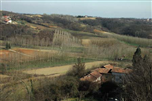 Comune di Castagnole Monferrato