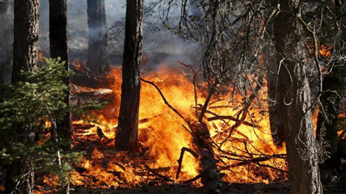 Dichiarazione stato di massima pericolosità incendi boschivi a partire dal 21/07/2022